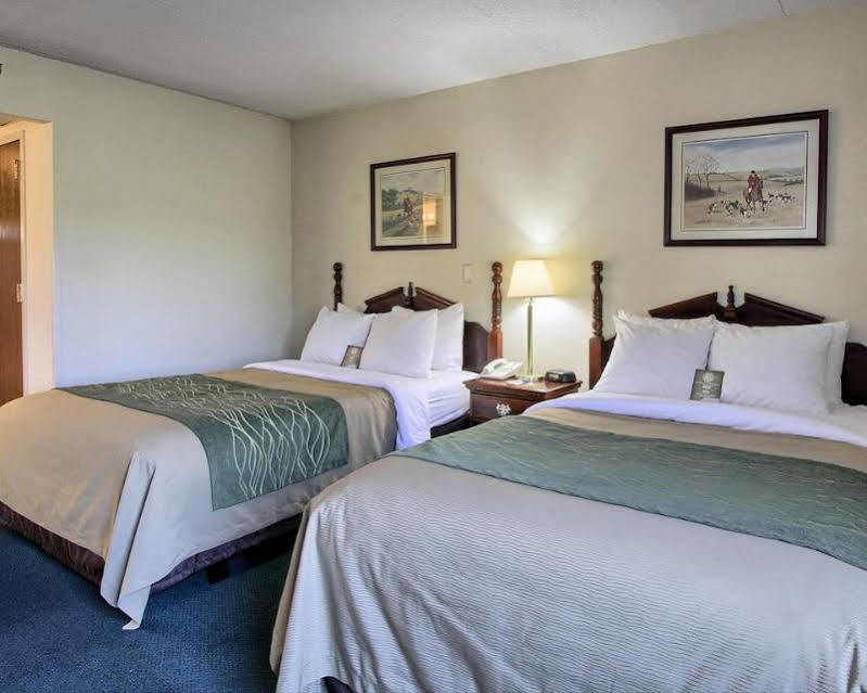Super 8 By Wyndham Chambersburg I-81 Hotel Buitenkant foto